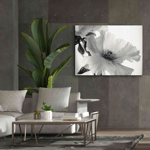 Image of 'Translucent Peony VIBW' by Debra Van Swearingen, Canvas Wall Art,54 x 40
