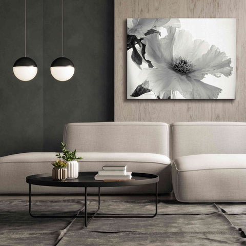 Image of 'Translucent Peony VIBW' by Debra Van Swearingen, Canvas Wall Art,54 x 40