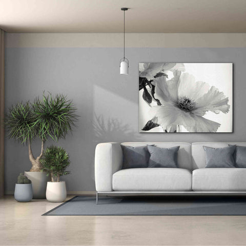 Image of 'Translucent Peony VIBW' by Debra Van Swearingen, Canvas Wall Art,54 x 40