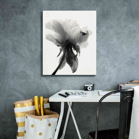 Image of 'Translucent Peony VIIBW' by Debra Van Swearingen, Canvas Wall Art,20 x 24