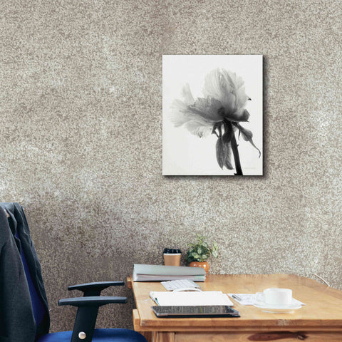 Image of 'Translucent Peony VIIIBW' by Debra Van Swearingen, Canvas Wall Art,20 x 24