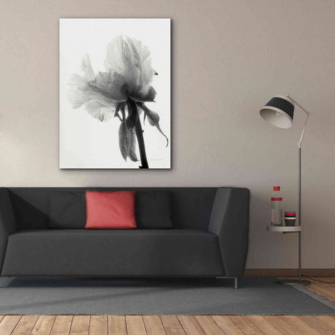 Image of 'Translucent Peony VIIIBW' by Debra Van Swearingen, Canvas Wall Art,40 x 54