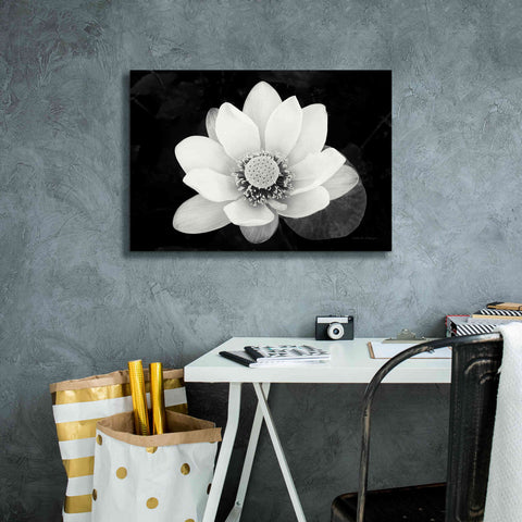 Image of 'Lotus Flower II v2' by Debra Van Swearingen, Canvas Wall Art,26 x 18