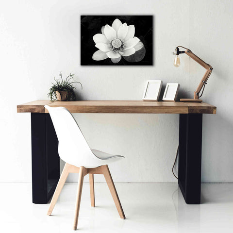 Image of 'Lotus Flower II v2' by Debra Van Swearingen, Canvas Wall Art,26 x 18
