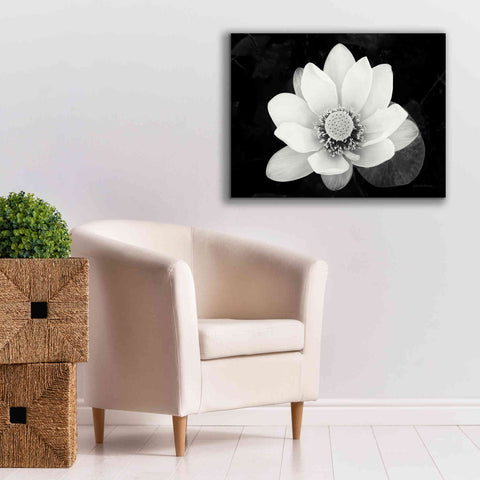 Image of 'Lotus Flower II v2' by Debra Van Swearingen, Canvas Wall Art,34 x 26