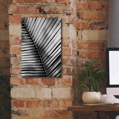 Image of 'Palm Frond I' by Debra Van Swearingen, Canvas Wall Art,12 x 18