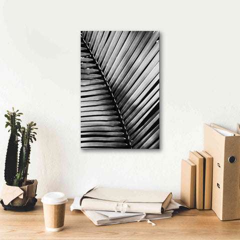 Image of 'Palm Frond I' by Debra Van Swearingen, Canvas Wall Art,12 x 18