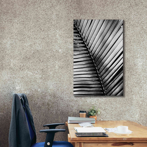 Image of 'Palm Frond I' by Debra Van Swearingen, Canvas Wall Art,26 x 40