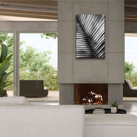 Image of 'Palm Frond I' by Debra Van Swearingen, Canvas Wall Art,26 x 40