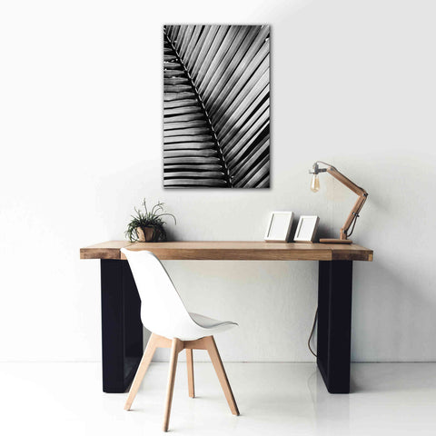 Image of 'Palm Frond I' by Debra Van Swearingen, Canvas Wall Art,26 x 40