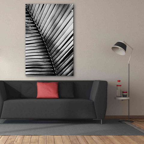 Image of 'Palm Frond I' by Debra Van Swearingen, Canvas Wall Art,40 x 60