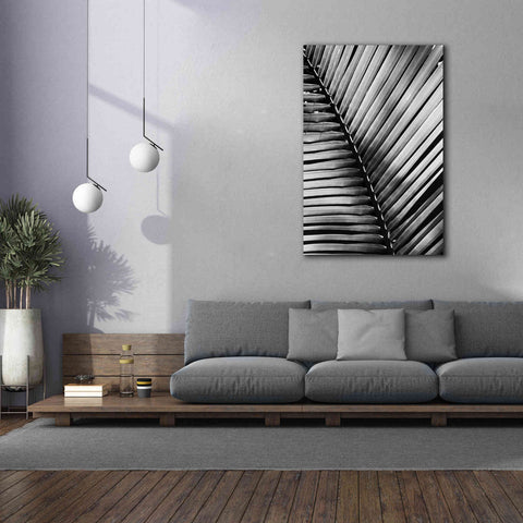 Image of 'Palm Frond I' by Debra Van Swearingen, Canvas Wall Art,40 x 60