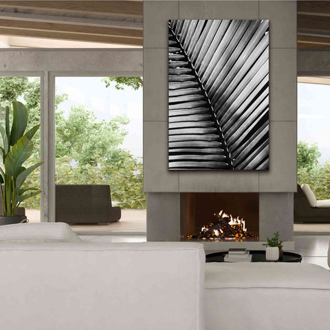 Image of 'Palm Frond I' by Debra Van Swearingen, Canvas Wall Art,40 x 60