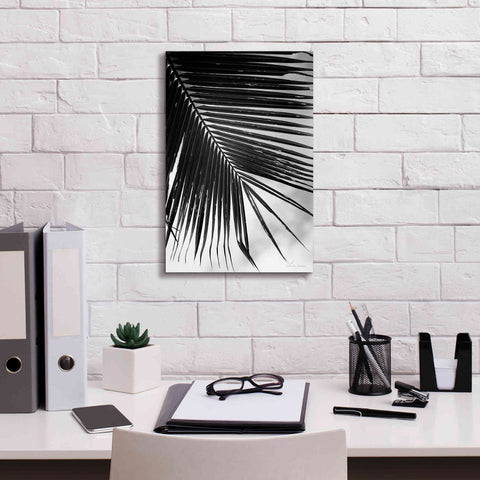 Image of 'Palm Frond II' by Debra Van Swearingen, Canvas Wall Art,12 x 18