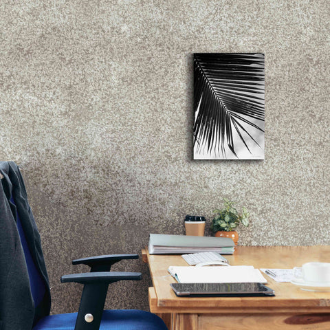 Image of 'Palm Frond II' by Debra Van Swearingen, Canvas Wall Art,12 x 18