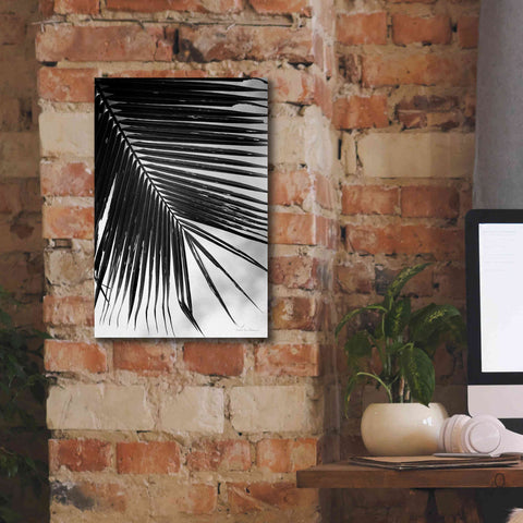 Image of 'Palm Frond II' by Debra Van Swearingen, Canvas Wall Art,12 x 18