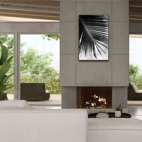 Image of 'Palm Frond II' by Debra Van Swearingen, Canvas Wall Art,26 x 40