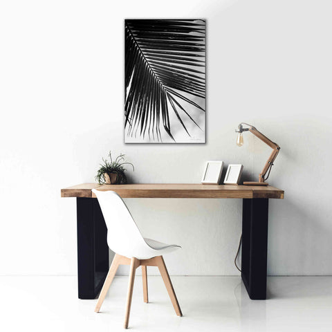 Image of 'Palm Frond II' by Debra Van Swearingen, Canvas Wall Art,26 x 40