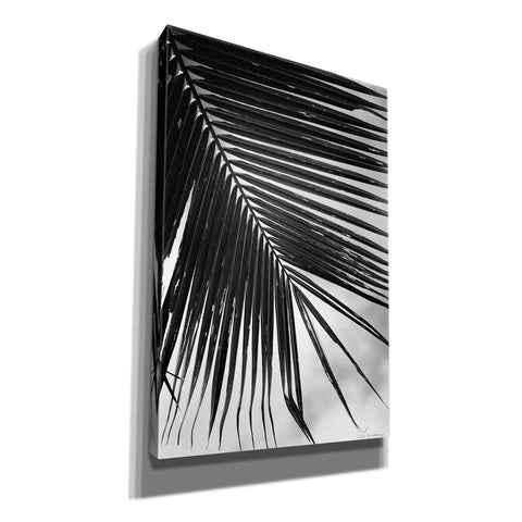 Image of 'Palm Frond II' by Debra Van Swearingen, Canvas Wall Art,12x18x1.1x0,18x26x1.1x0,26x40x1.74x0,40x60x1.74x0