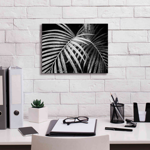 Image of 'Palm Fronds' by Debra Van Swearingen, Canvas Wall Art,16 x 12