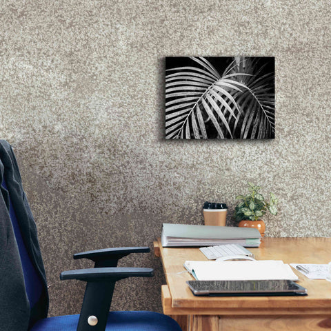 Image of 'Palm Fronds' by Debra Van Swearingen, Canvas Wall Art,16 x 12