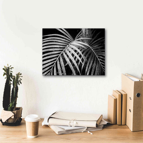 Image of 'Palm Fronds' by Debra Van Swearingen, Canvas Wall Art,16 x 12