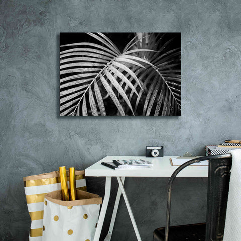 Image of 'Palm Fronds' by Debra Van Swearingen, Canvas Wall Art,26 x 18