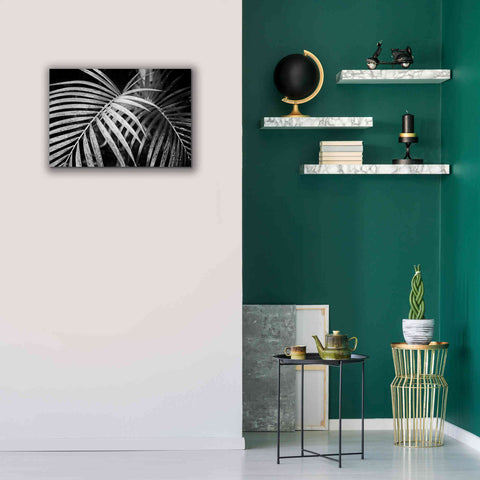 Image of 'Palm Fronds' by Debra Van Swearingen, Canvas Wall Art,26 x 18