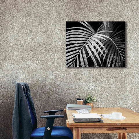 Image of 'Palm Fronds' by Debra Van Swearingen, Canvas Wall Art,34 x 26