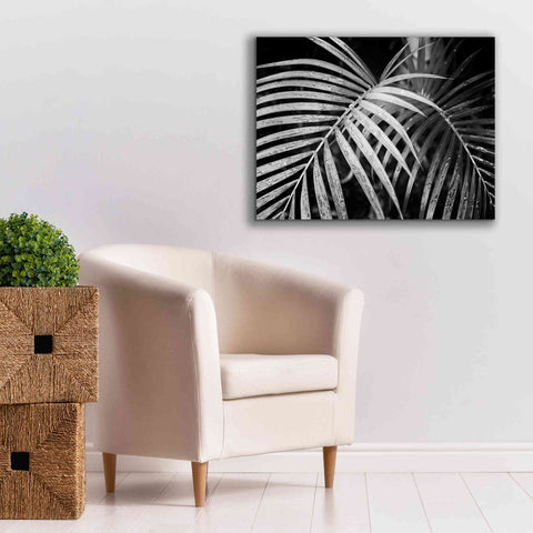 Image of 'Palm Fronds' by Debra Van Swearingen, Canvas Wall Art,34 x 26