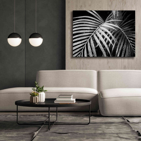 Image of 'Palm Fronds' by Debra Van Swearingen, Canvas Wall Art,54 x 40