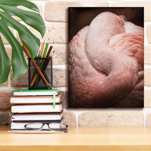 Image of 'Chilean Flamingo I' by Debra Van Swearingen, Canvas Wall Art,12 x 16