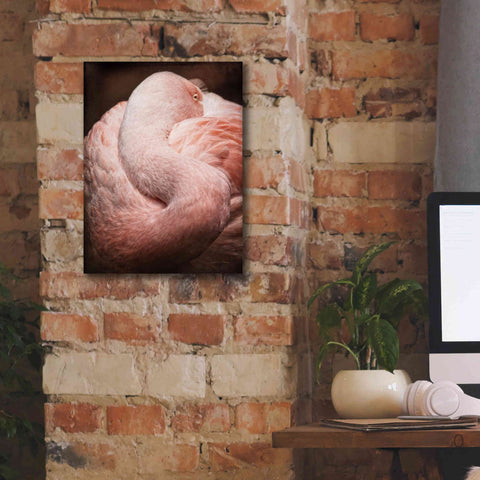 Image of 'Chilean Flamingo I' by Debra Van Swearingen, Canvas Wall Art,12 x 16