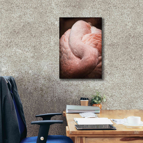 Image of 'Chilean Flamingo I' by Debra Van Swearingen, Canvas Wall Art,18 x 26