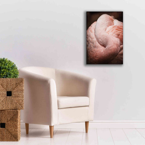 Image of 'Chilean Flamingo I' by Debra Van Swearingen, Canvas Wall Art,18 x 26