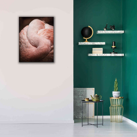 Image of 'Chilean Flamingo I' by Debra Van Swearingen, Canvas Wall Art,26 x 34