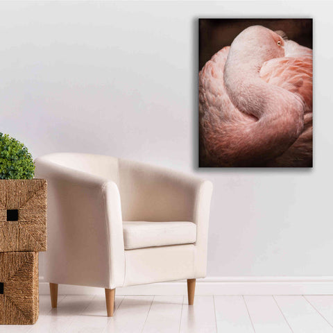 Image of 'Chilean Flamingo I' by Debra Van Swearingen, Canvas Wall Art,26 x 34