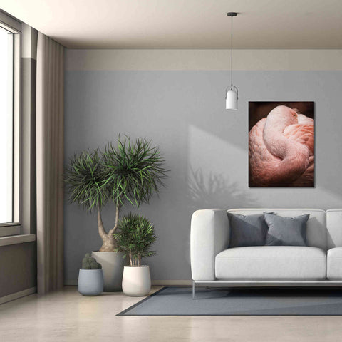 Image of 'Chilean Flamingo I' by Debra Van Swearingen, Canvas Wall Art,26 x 34