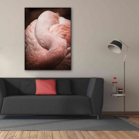 Image of 'Chilean Flamingo I' by Debra Van Swearingen, Canvas Wall Art,40 x 54