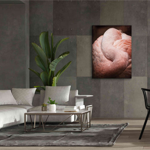 Image of 'Chilean Flamingo I' by Debra Van Swearingen, Canvas Wall Art,40 x 54