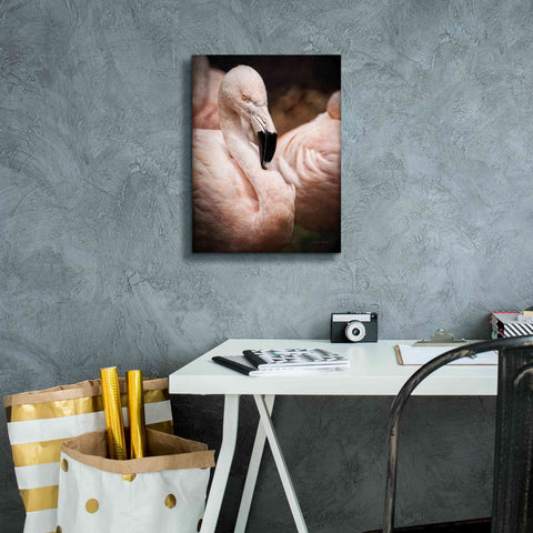 Image of 'Chilean Flamingo II' by Debra Van Swearingen, Canvas Wall Art,12 x 16