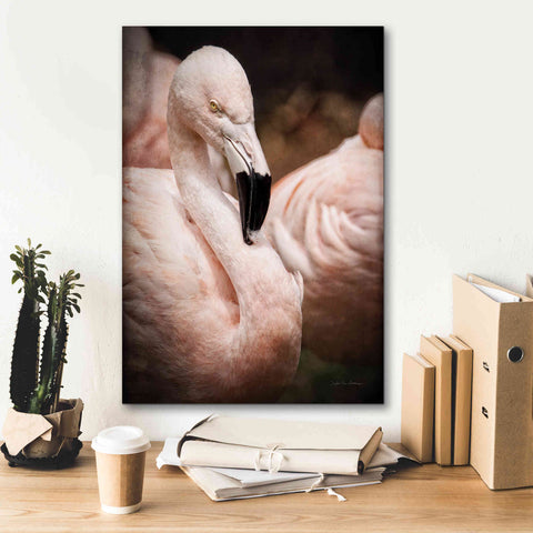 Image of 'Chilean Flamingo II' by Debra Van Swearingen, Canvas Wall Art,18 x 26