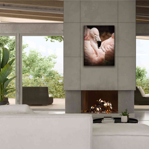 Image of 'Chilean Flamingo II' by Debra Van Swearingen, Canvas Wall Art,26 x 34