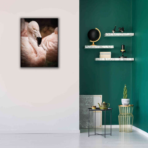 Image of 'Chilean Flamingo II' by Debra Van Swearingen, Canvas Wall Art,26 x 34