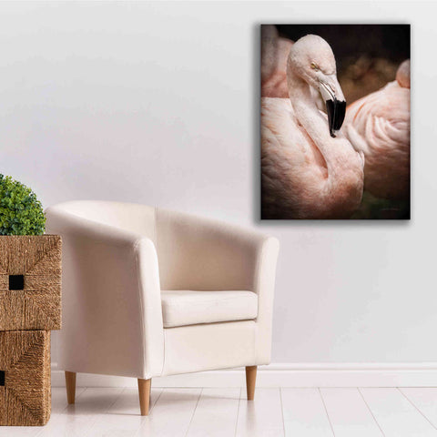Image of 'Chilean Flamingo II' by Debra Van Swearingen, Canvas Wall Art,26 x 34