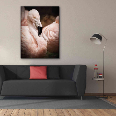 Image of 'Chilean Flamingo II' by Debra Van Swearingen, Canvas Wall Art,40 x 54