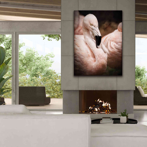 Image of 'Chilean Flamingo II' by Debra Van Swearingen, Canvas Wall Art,40 x 54