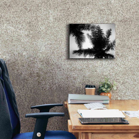 Image of 'Palm Tree Looking Up I' by Debra Van Swearingen, Canvas Wall Art,16 x 12