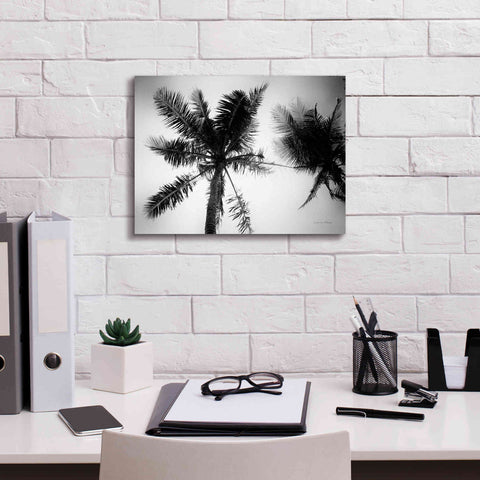 Image of 'Palm Tree Looking Up II' by Debra Van Swearingen, Canvas Wall Art,16 x 12