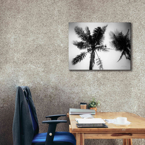 Image of 'Palm Tree Looking Up II' by Debra Van Swearingen, Canvas Wall Art,34 x 26
